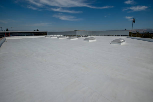 Best Steel Roofing  in Justin, TX
