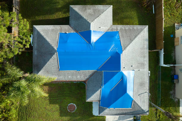 Best Roof Ventilation Installation  in Justin, TX