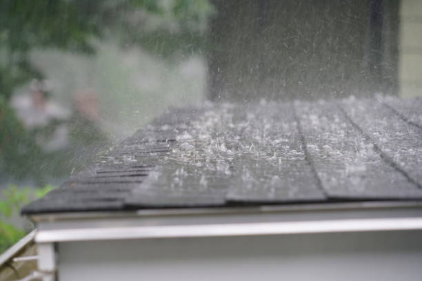 Best Skylight Installation and Repair  in Justin, TX