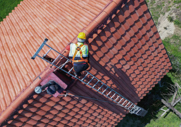 Best Skylight Installation and Repair  in Justin, TX
